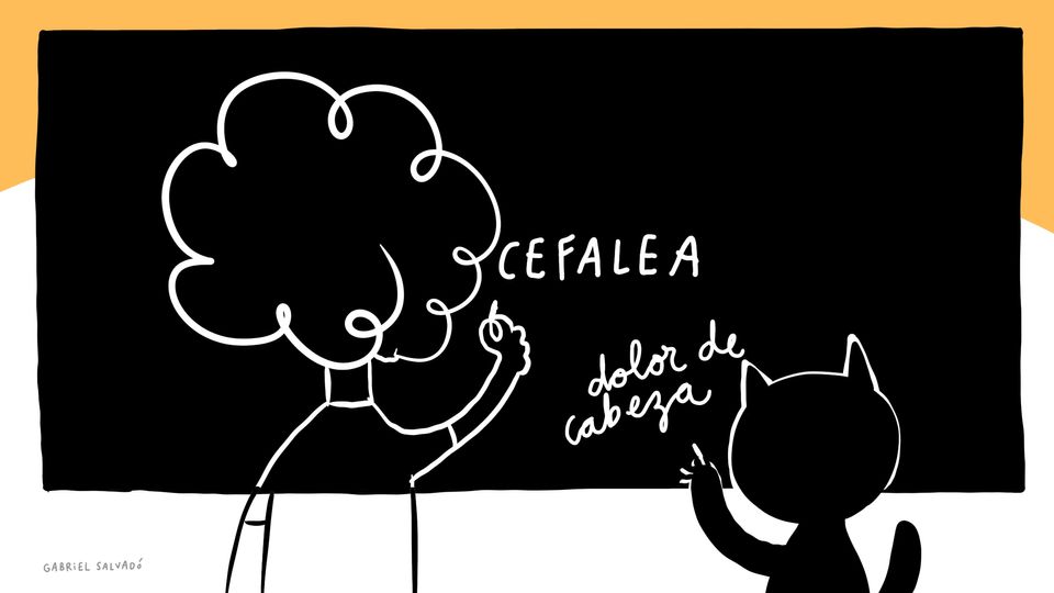 ¿Estás cansada de que tu web sobre nutrición sea como un cartel estático sin interacciones?